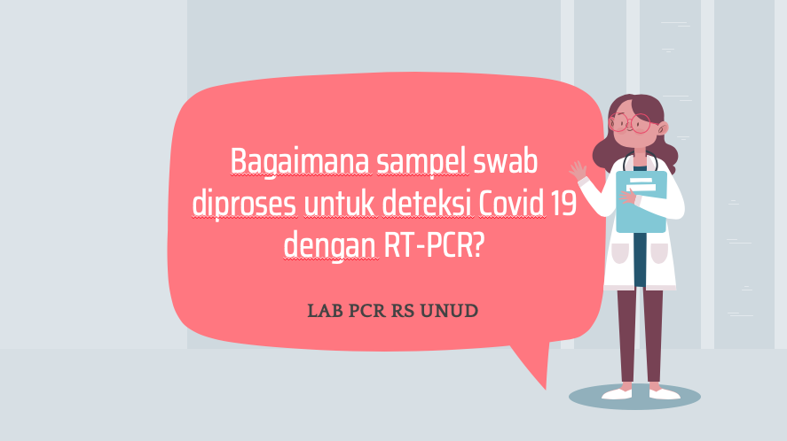 Bagaimana sampel swab diproses untuk deteksi Covid 19 dengan RT-PCR? -  Rumah Sakit Universitas Udayana